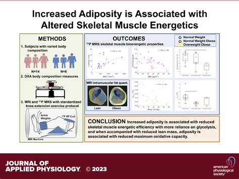 Increased Adiposity Is Associated With Altered Skeletal Muscle