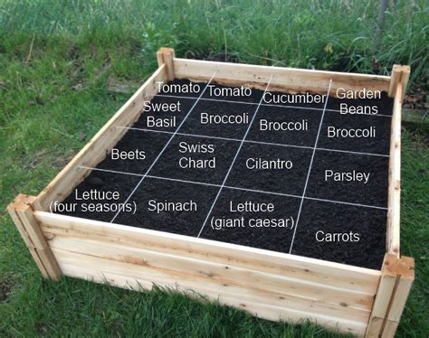 19 Square Foot Garden Planting Template Ideas You Cannot Miss Sharonsable