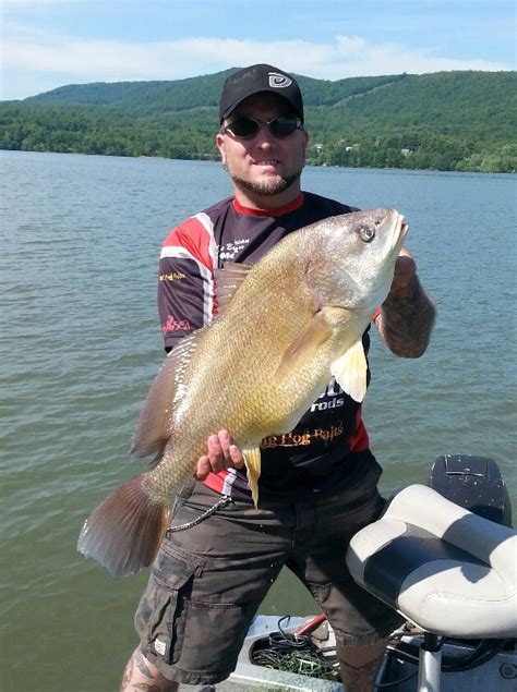 Freshwater Drum Details Tn Fish Finder