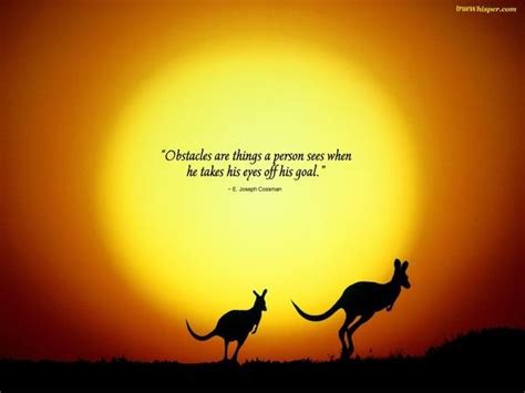 CUTE KANGAROO QUOTES image quotes at relatably.com