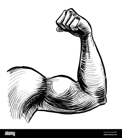 Strong Hand Flexing Biceps Ink Black And White Drawing Stock Photo Alamy