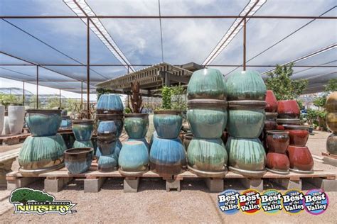 DESERT HORIZON NURSERY - 392 Photos & 142 Reviews - 19250 S Ellsworth