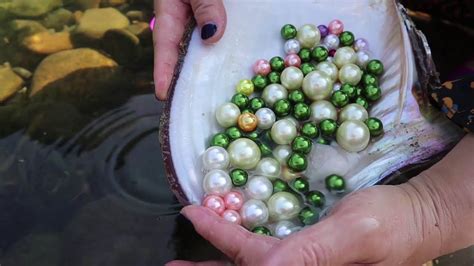 Rare Pearl Pearl Clams Are Treasures In The Lake And The Pearls They