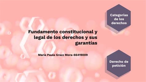 fundamento constitucional y legal de los derechos y sus garantías by