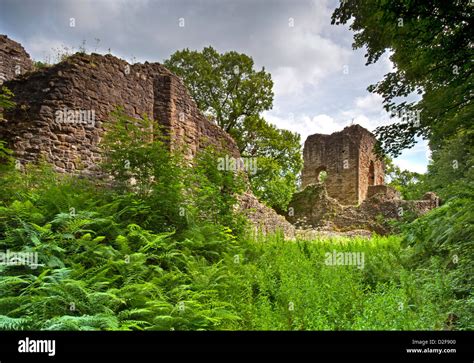 Ewloe Castle, Ewloe, Flintshire, North Wales, UK Stock Photo - Alamy