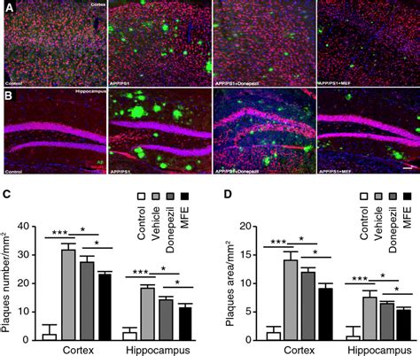 Mfe Reduces The Aβ Level In The Cortex And Hippocampus Of App Ps1 Mice