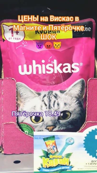 Жесткая разница в цене #цены #кошки #вискас #пятерочка #магнит # ...