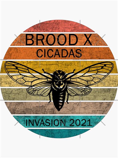 Cicada Brood X 2021 Sticker For Sale By Valentinahramov Redbubble