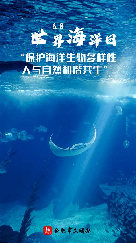 “保护海洋生物多样性 人与自然和谐共生”垃圾场