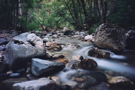 Imagen gratis agua río arroyo naturaleza bosque grandes rocas