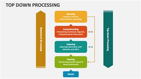 Bottom Up Processing Vs Top Down Processing