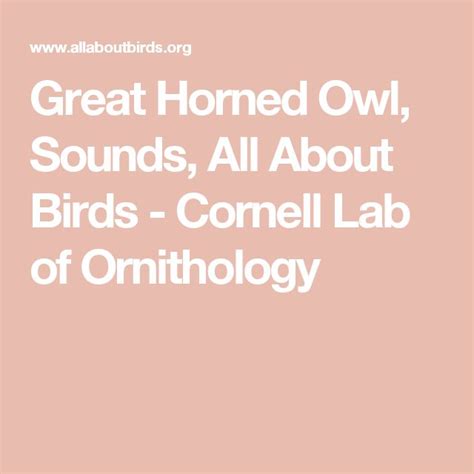 Great Horned Owl, Sounds, All About Birds - Cornell Lab of Ornithology ...