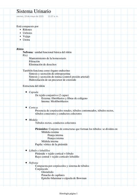 Sistema Urinario Ross Histología Texto Y Atlas Está compuesto por