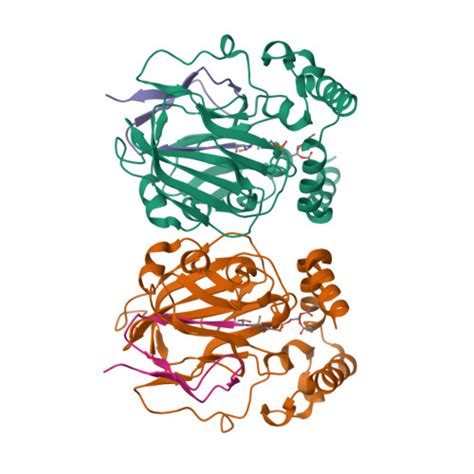 Rcsb Pdb L Crystal Structure Of Escherichia Coli