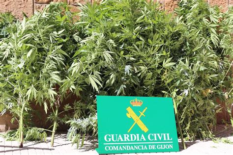 La Guardia Civil Detiene A Un Vecino De Carre O Que Ten A Una