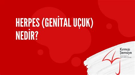 Herpes Genİtal UÇuk Nedİr Youtube