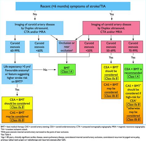 Carotid Artery Stenosis Treatment Guidelines - Unique and Different ...