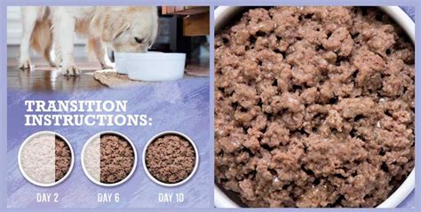 A Comprehensive Review Of Purina Beyond Wet Dog Food High Protein Grain