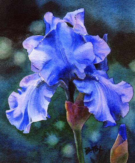 Painting Of Iris Flower At Paintingvalley Explore Collection Of