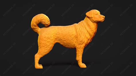 Fichier STL Chien de berger d Anatolie Modèle imprimé en 3D Pose 03