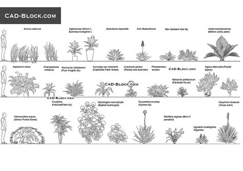 Shrubs AutoCAD File | Vector CAD Drawings