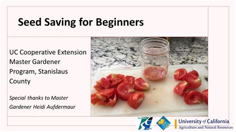 Seed Saving For Beginners Ucce Stanislaus County Master Gardener