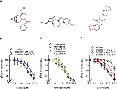 A Mechanism Of Uncompetitive Inhibition Of The Serotonin Transporter