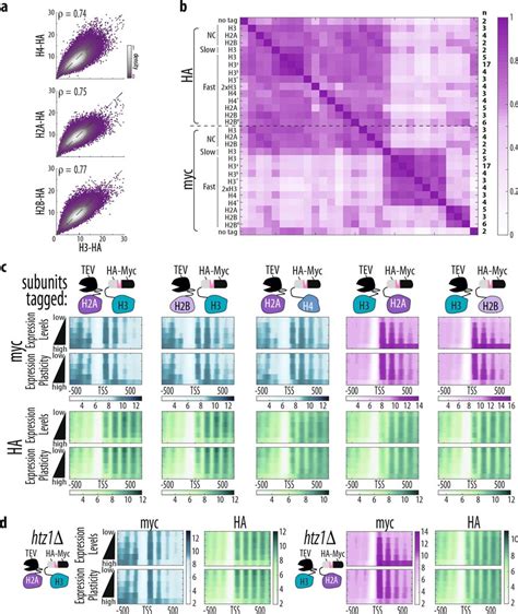 Supporting Figure For Fig 2 A Comparison Between Ha Occupancy Signal Download Scientific