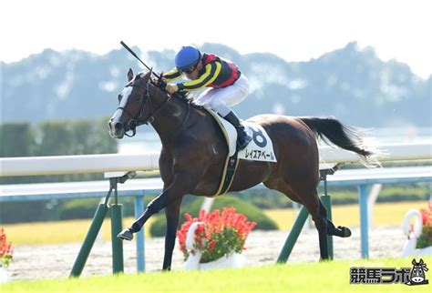 『レイズアベール』 大和屋暁のコラム「通暁暢達」 競馬ラボ