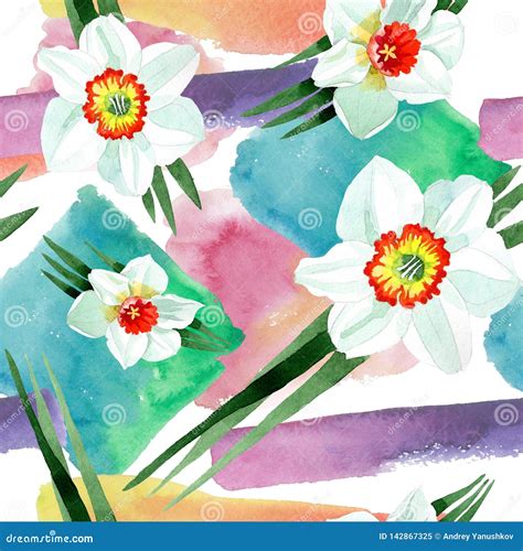 White Narcissus Floral Botanical Flower Watercolor Background