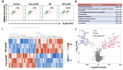 Sci Transl Med 递送car M治疗胶质母细胞瘤 干细胞and免疫细胞and外泌体and再生医学领域垂直媒体细胞世界