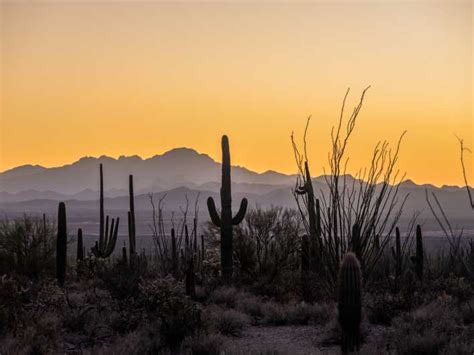 Tucson Tour Saguaro Mt Lemmon Self Guided Audio Tour Getyourguide