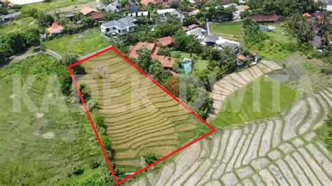 Dijual Tanah View Sawah Terasering Pererenan Canggu Bali Idrumah