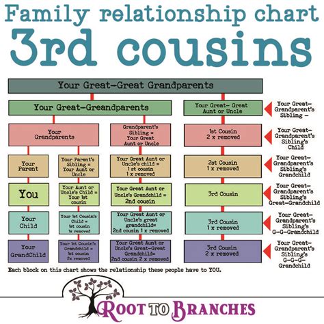 What cousin are they? -How to understand family relationships - Root To Branches | Family ...