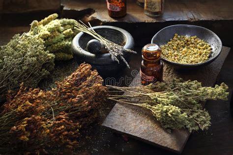 Herbalist Herbal Medicine And Natural Medicine Traditional Herbal