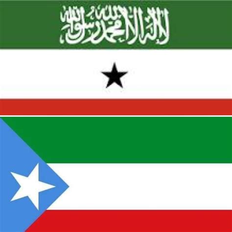 Ethiopia: Somali State adopts flag combining Somalia, Somaliland colors ...