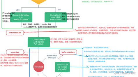 Vue生命周期（详细） 掘金