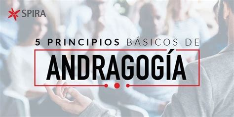 Principios B Sicos De Andragog A Spira