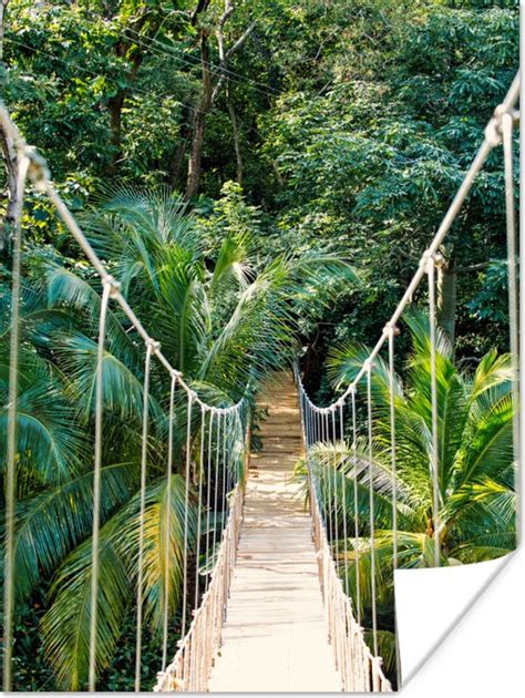 Poster Jungle Palmboom Brug Natuur Planten 30x40 Cm