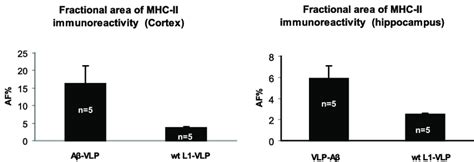 Fractional Area Of Mhc Ii Marker Of Activated Microglia A Trend For