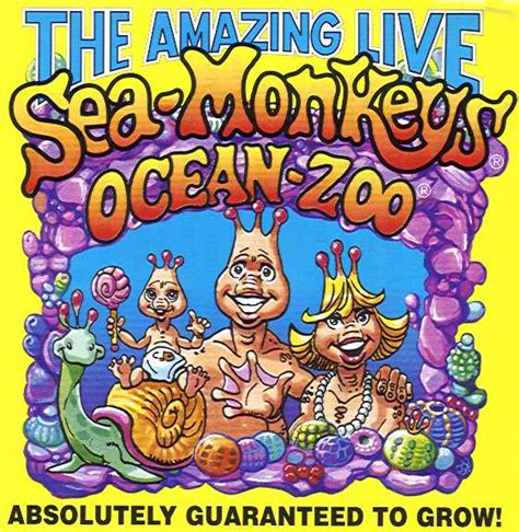 tank insert smmuseum