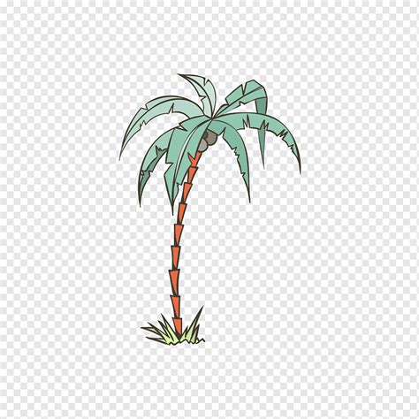 Arecaceae Ilustra O Coqueiro Verde Vermelho Folha Galho De Rvore