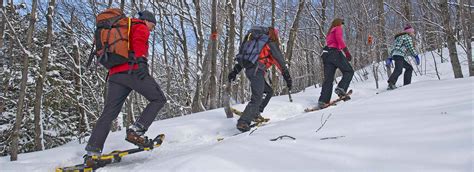 Snowshoeing, Algoma Country, Northern Ontario, Canada