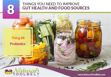 Things You Need To Improve Gut Health And Food Sources Natural Toolbelt