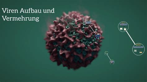 Viren Aufbau Und Vermehrung By Muffin Black On Prezi