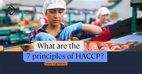 What Are The HACCP Principles Steps Examples