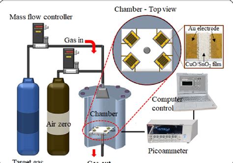 Gas Sensing Measurement System With The Photograph Of A Cuosno 2