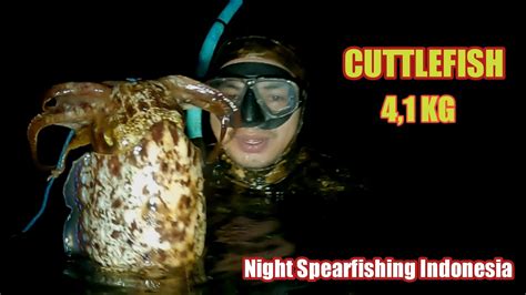 Night Spearfishing Indonesia Cuttlefish 41 Kg Youtube