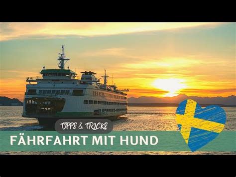 Fähre mit Hund nach Schweden Roadtrip mit dem Wohnmobil zum Nordkap