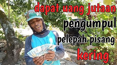 Pembelian Pelepah Pisang Kering Di Pengumpul Langsung